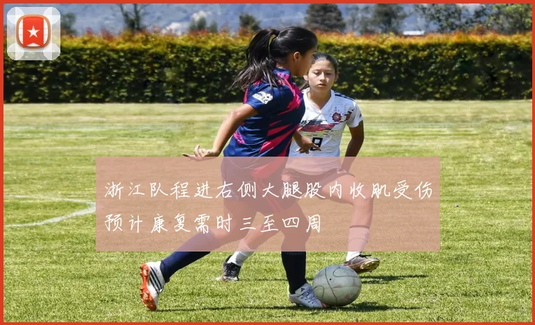 浙江队程进右侧大腿股内收肌受伤预计康复需时三至四周